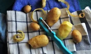 Ziemniaki do mrożenia? Na zdjęciu widzimy świeże ziemniaki, obieraczkę i skórki. Zastanawiasz się, czy ziemniaki można mrozić?